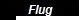 Flug